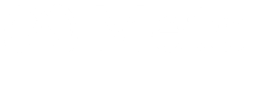 Meta Business Partner